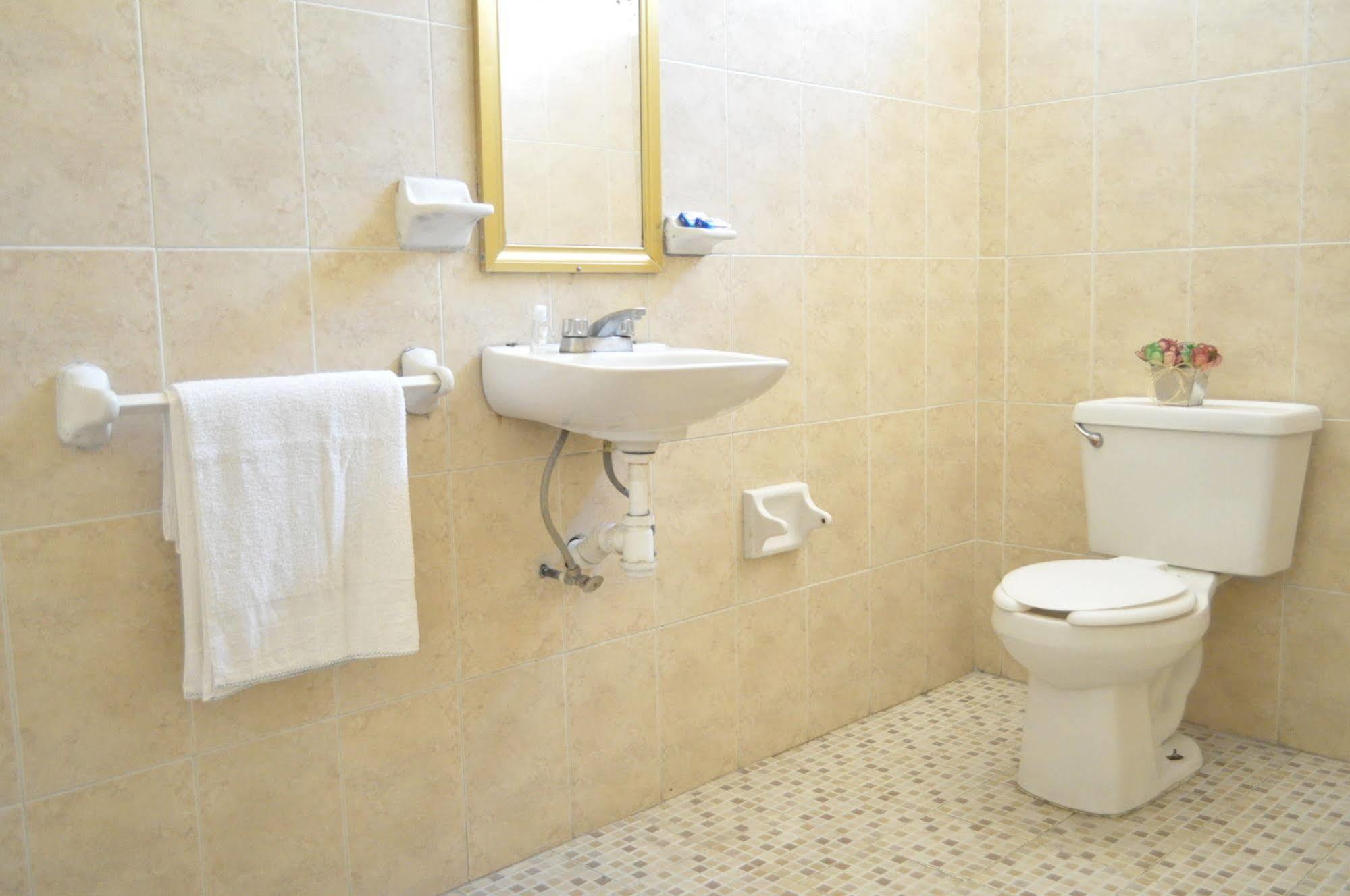 Hotel San Carlos Ирапуато Экстерьер фото